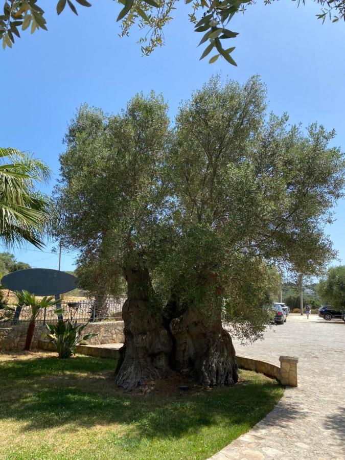 Citta Bianca Country Resort Ostuni Exterior photo